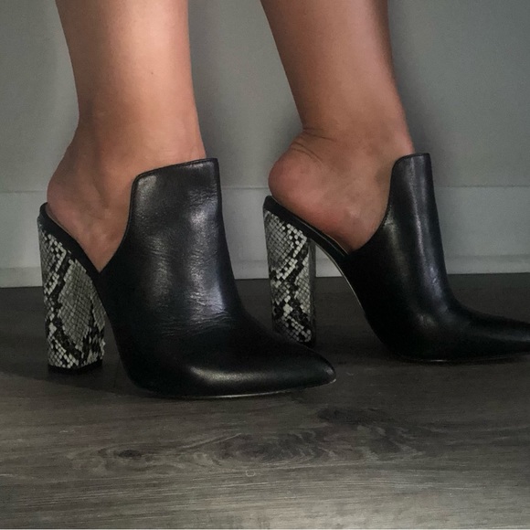 Aldo Mules - Picture 9 of 10